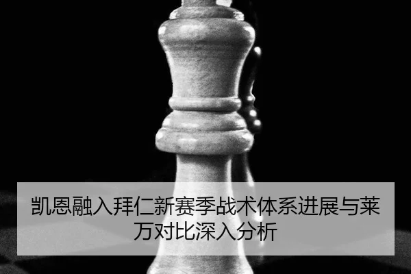凯恩融入拜仁新赛季战术体系进展与莱万对比深入分析